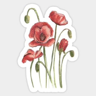 Red Poppy Flowers Watercolor Painting Sticker